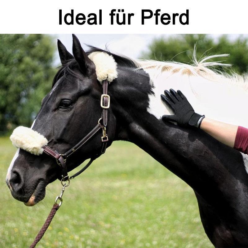 Bequee Profi Fellpflege-Handschuh für Pferde, Hunde und Katzen - Links & Rechts ( 1 Paar )