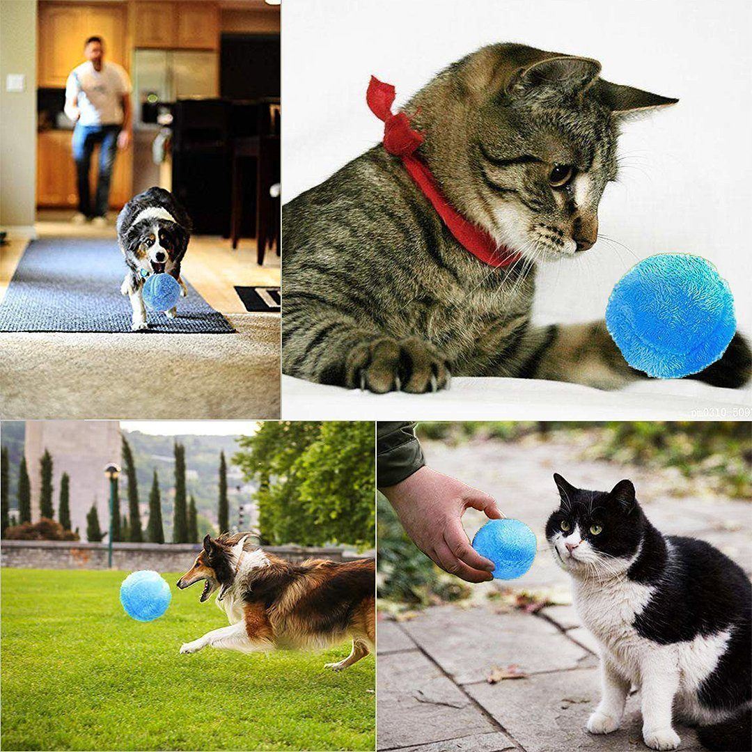 magischer Ball für Haustiere